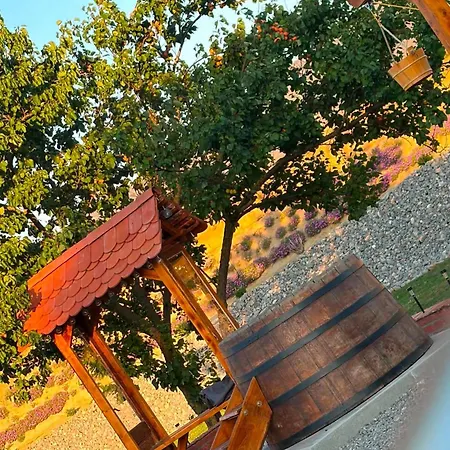 Deja-vu Apartmanhaz Prázdninový dům Szigetvár